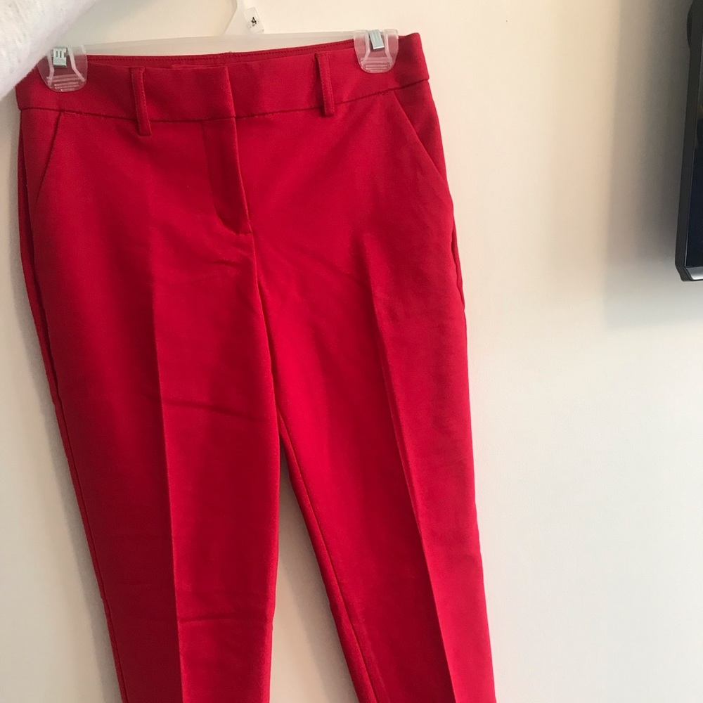 Express dress pants